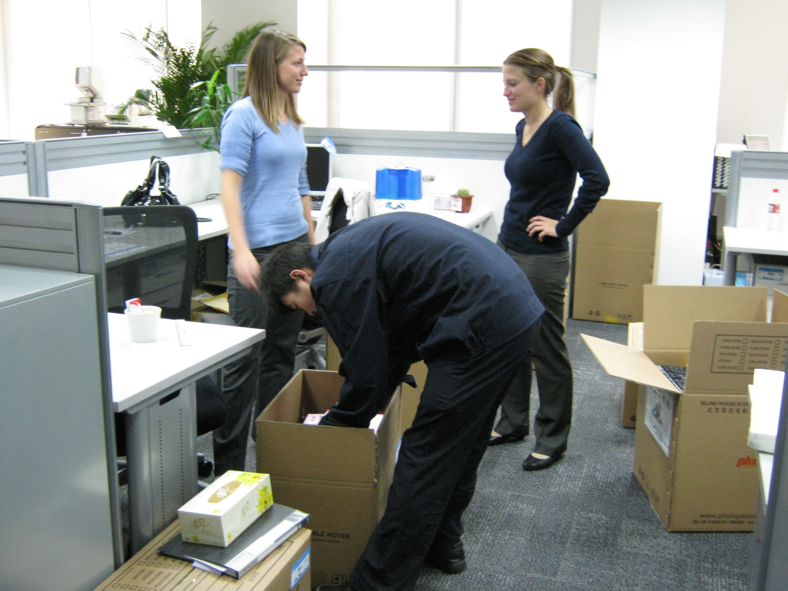 office relocation services